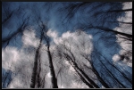Chatouiller les nuages