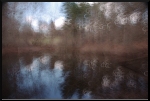 Etang flou pour arbres flous
