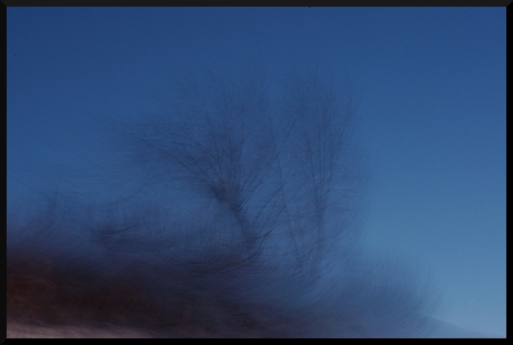 Arbre flou - Ciel bleu - Neige