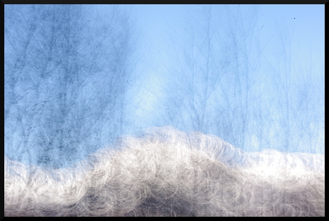 Haie floue - Neige - Montagne