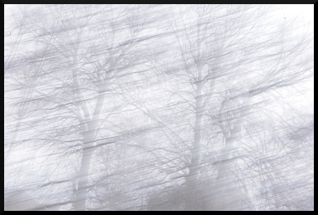 Jour blanc, jour flou...