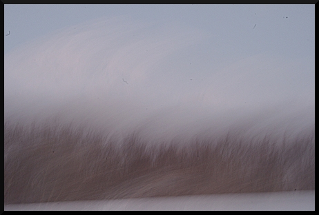 Jour blanc, jour flou...