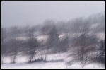 Jour blanc, jour flou...