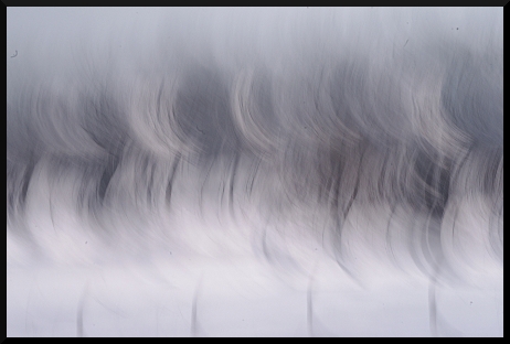Jour blanc, jour flou...