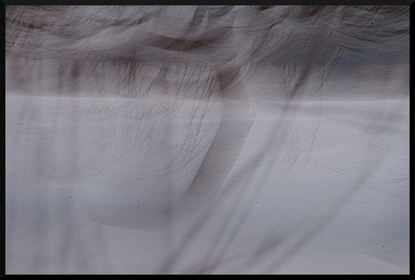 Jour blanc, jour flou...
