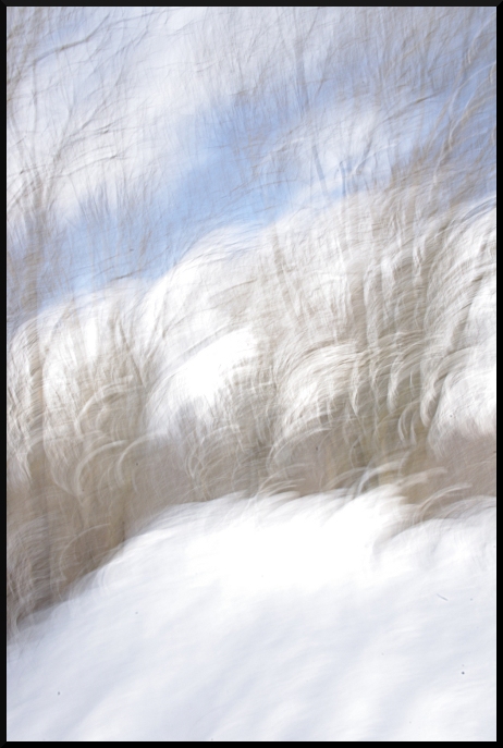 Paysages flous et enneigés