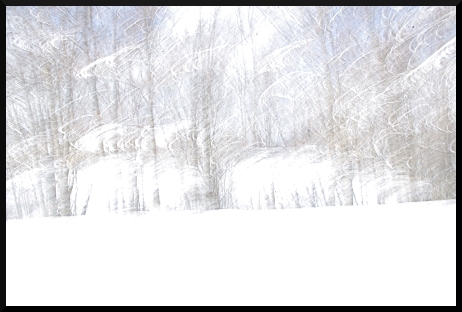 Haie floue - Neige - Montagne