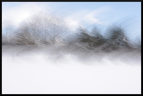 Haie floue - Neige - Montagne