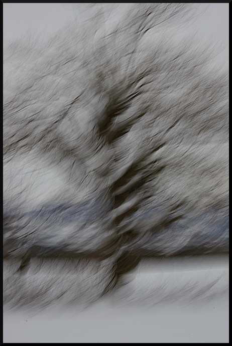 Neigeux, sombre... et beau !