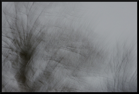 Neigeux, sombre... et beau !