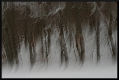 Neigeux, sombre... et beau !