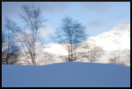 Bleu, Blanc, Neige, au Pays des arbres flous