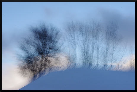 Bleu, Blanc, Neige, au Pays des arbres flous