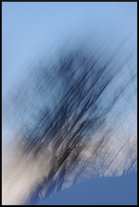 Bleu, Blanc, Neige, au Pays des arbres flous