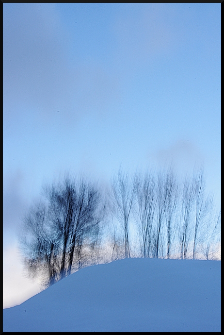 Bleu, Blanc, Neige, au Pays des arbres flous