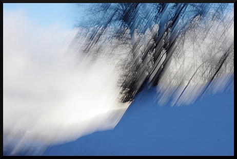 Bleu, Blanc, Neige, au Pays des arbres flous