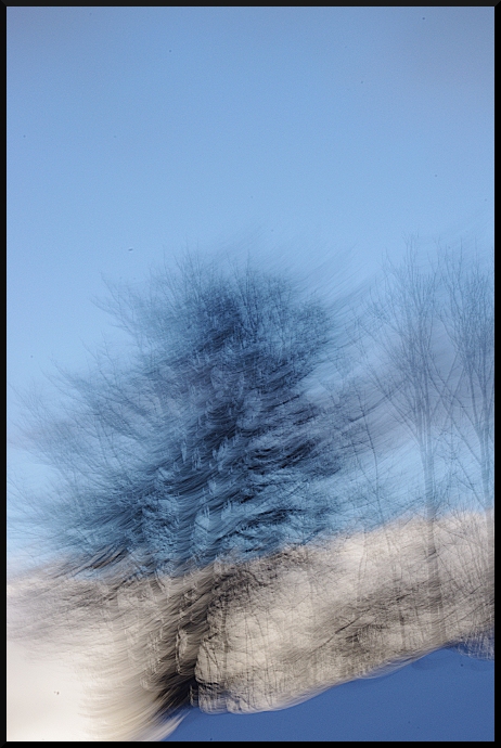 Bleu, Blanc, Neige, au Pays des arbres flous