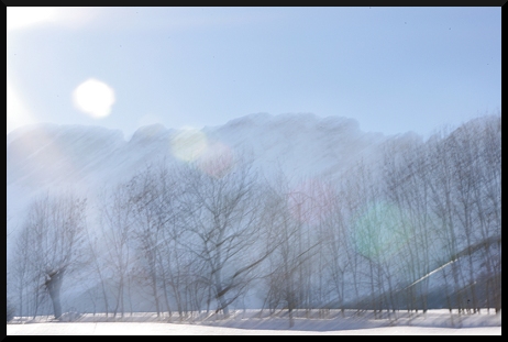 Janvier, c'est neige (floue, bien sûr !)