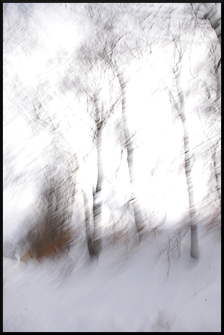 Janvier, c'est neige (floue, bien sûr !)