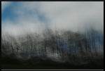 Sombre journée de printemps