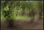 Parc Ecologique Terre Vivante (Mens - Isère)