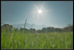Le (flou) retour du soleil