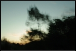 Coucher de soleil au pays des arbres flous
