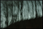 Sombres variations