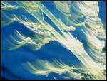 Feuillages flous