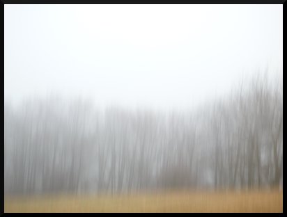 Paysage flou