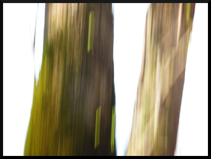 Branches d'abstractions