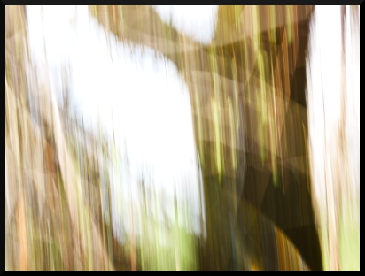 Branches d'abstractions