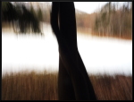 Paysage flou sous la neige