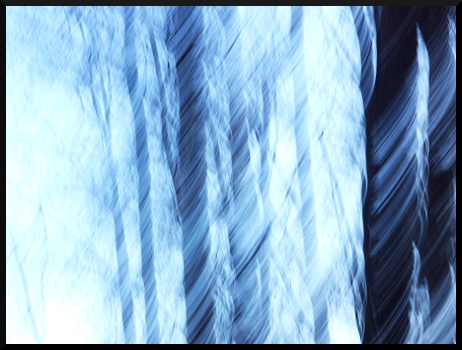 En neige et en bleu - Arbres flous