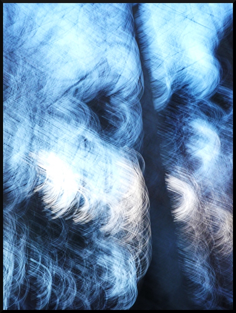 En neige et en bleu - Arbres flous