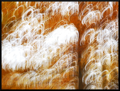 Les derniers jours de l'automne...