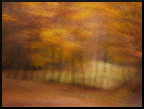 Les derniers jours de l'automne...