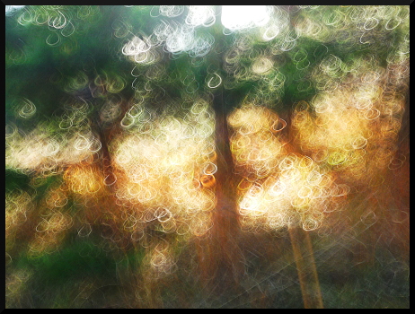 Les derniers jours de l'automne...