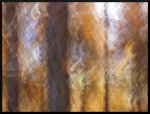 Arbres flous l'automne