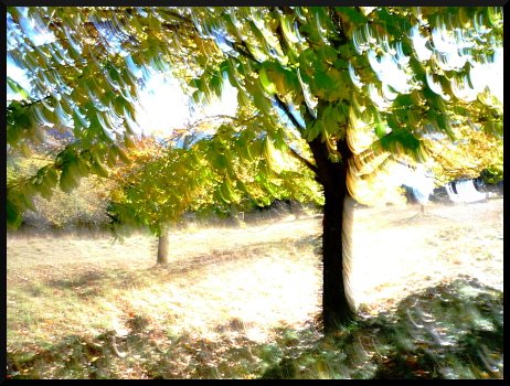 Au bord du lac de Serre-Poncon