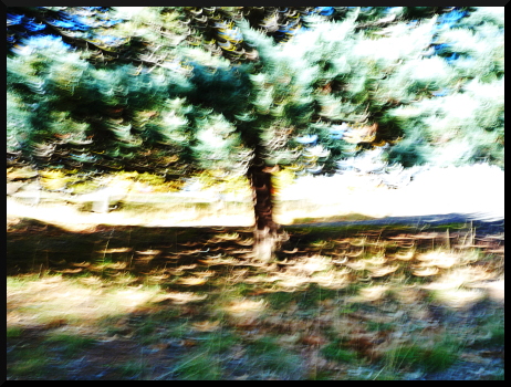 Au bord du lac de Serre-Poncon