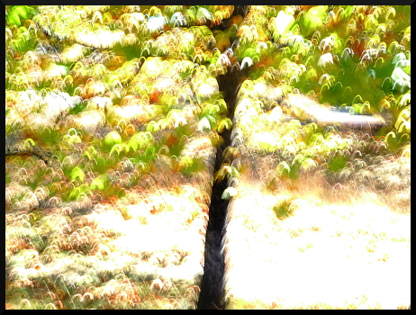 Au bord du lac de Serre-Poncon