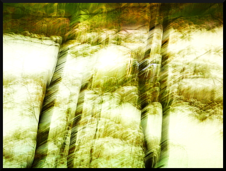 Arbres flous au Parc de Charance (Gap)