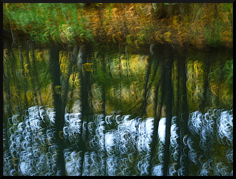 Arbres flous au Parc de Charance (Gap)