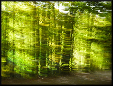 Arbres flous au Parc de Charance (Gap)