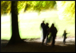 La promenade floue du dimanche
