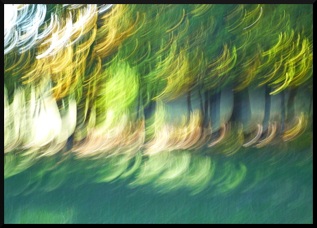Arbres flous au Parc de Charance (Gap)