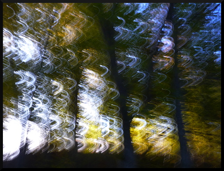 Forêt d'automne, forêt floue