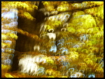 Forêt d'automne, forêt floue