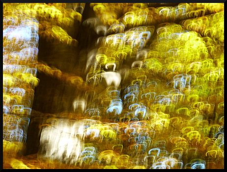 Forêt d'automne, forêt floue
